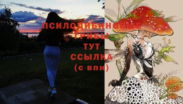 молекула духа Алексин