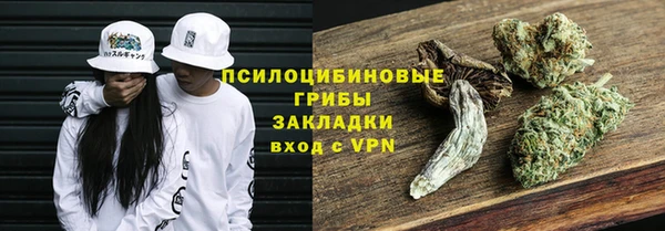 сатива Алексеевка