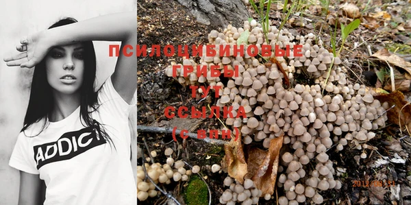 сатива Алексеевка
