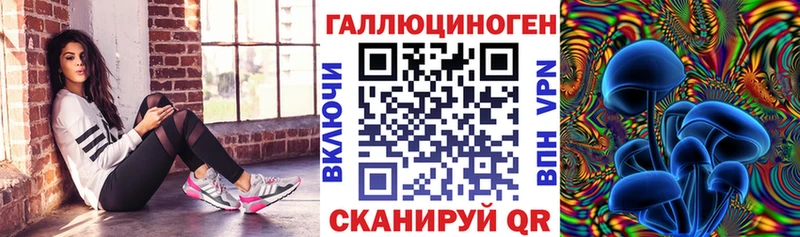закладки  Пучеж  Галлюциногенные грибы Psilocybe 
